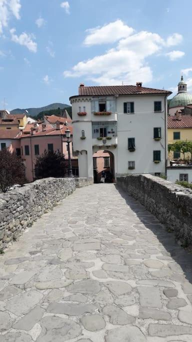 La Cicala *