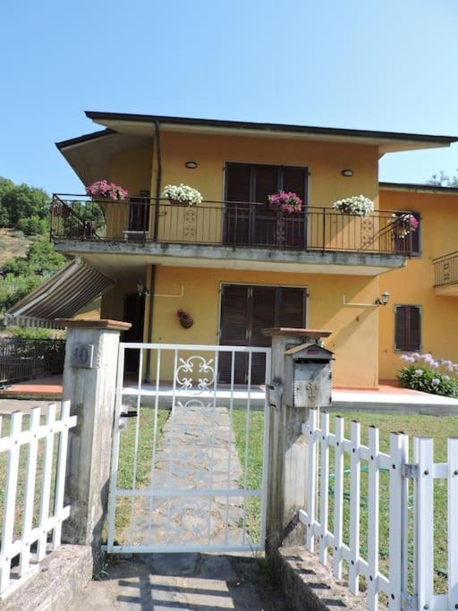 La Cicala *