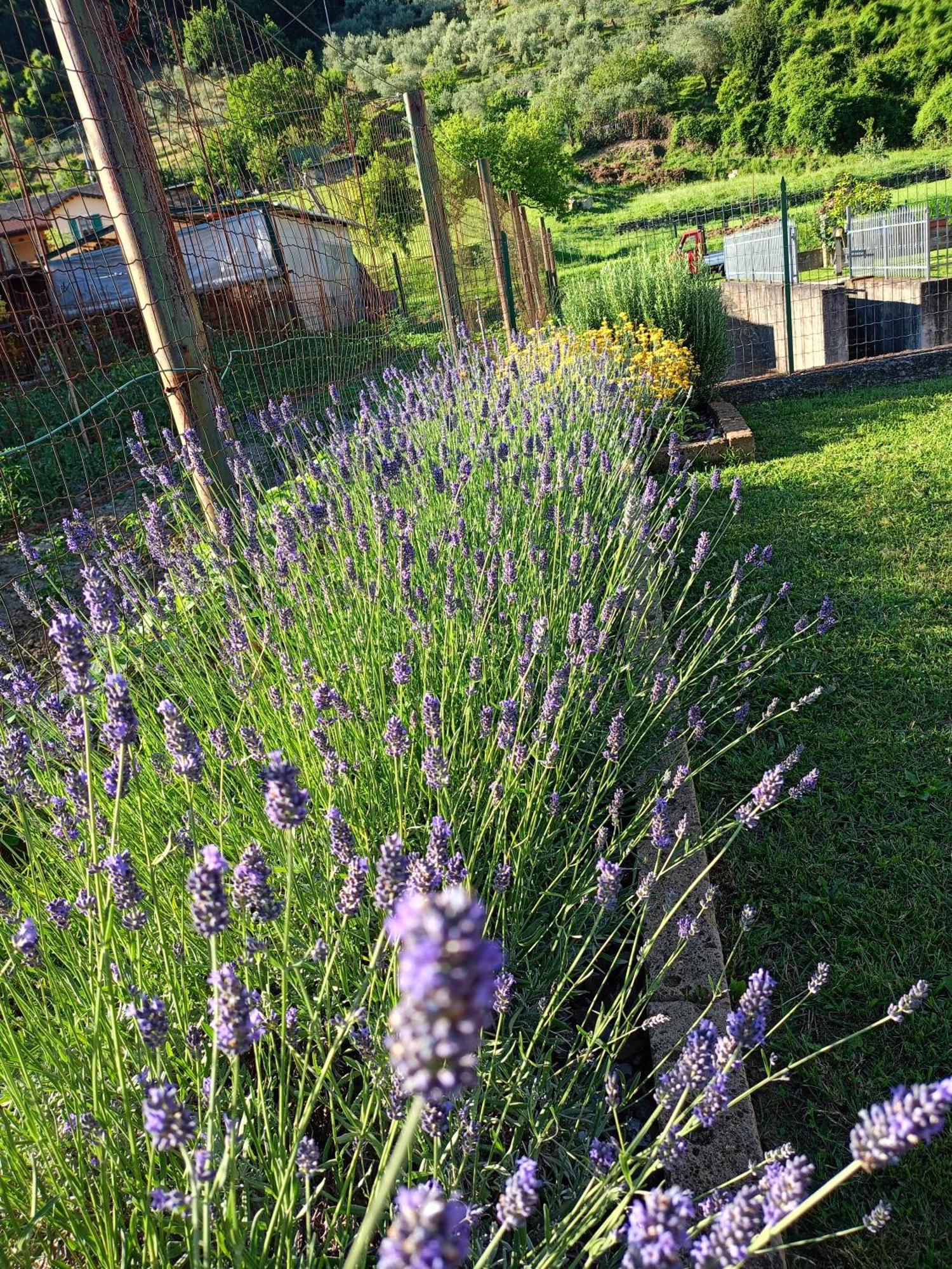 Holiday home La Cicala Pontremoli